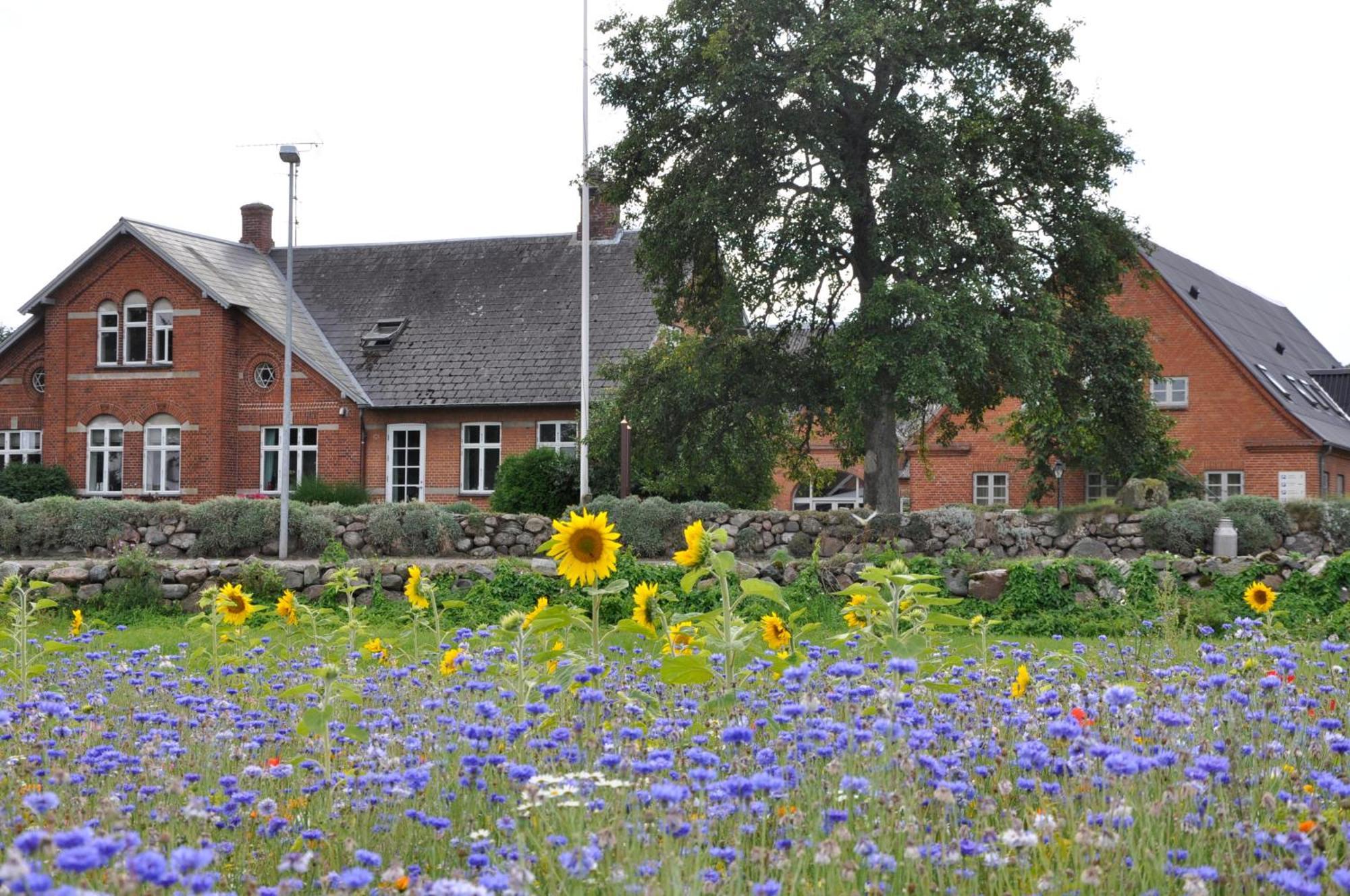 Lundsgaard Bed & Breakfast Faaborg Exterior photo